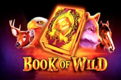 Book of Wild — Slots by 1spin4win