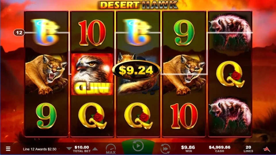Desert Hawk — screenshot 2