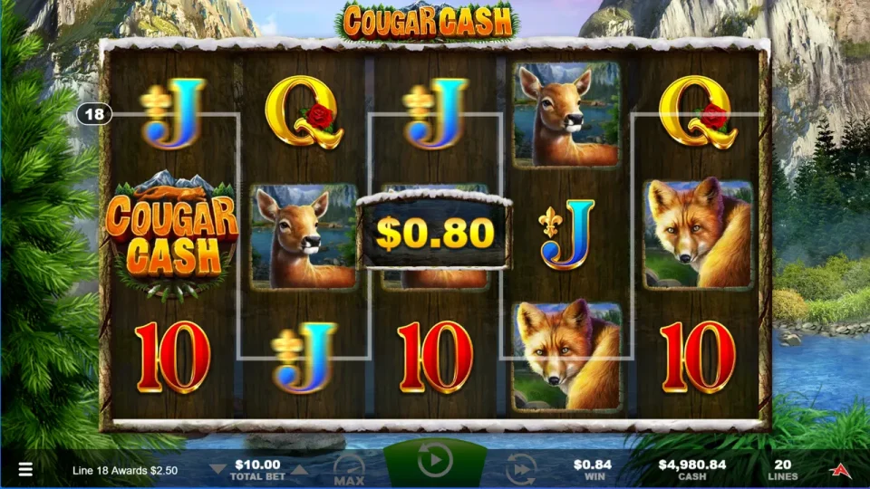 Cougar Cash — screenshot 2