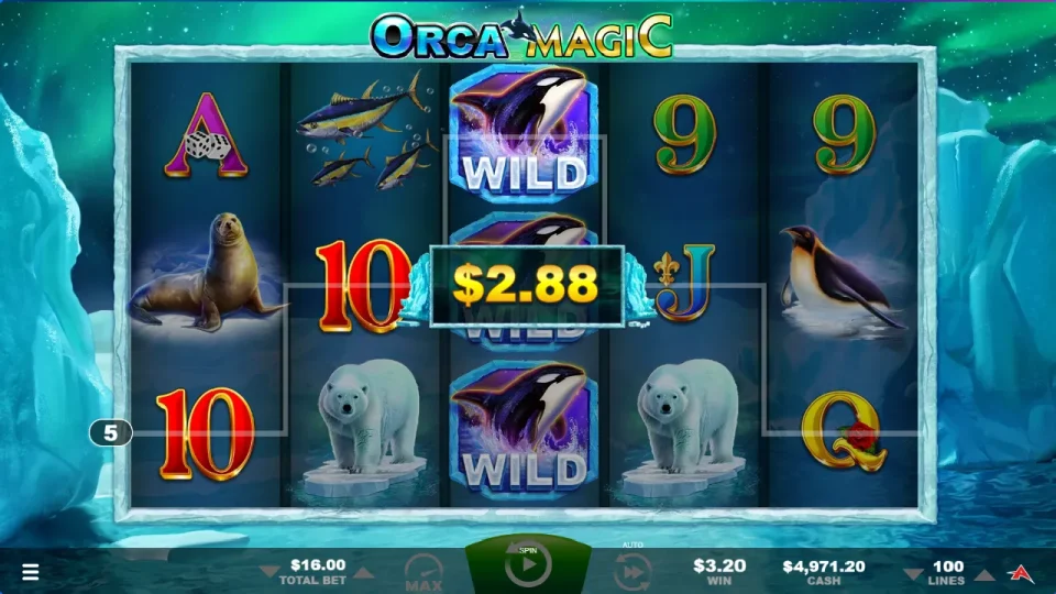 Orca Magic — screenshot 7