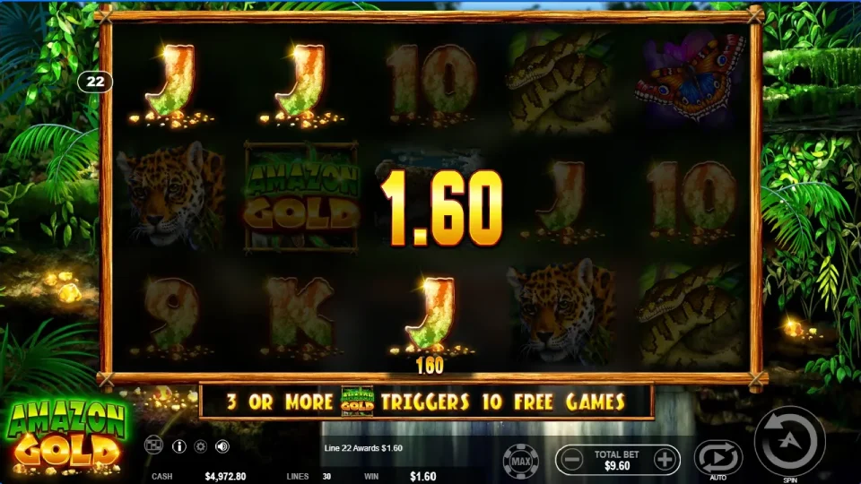 Amazon Gold — screenshot 1
