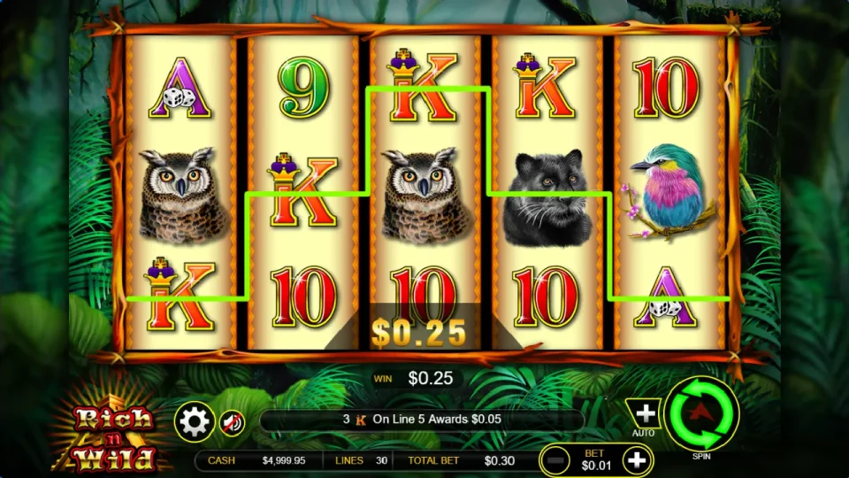 Rich n Wild — screenshot 1