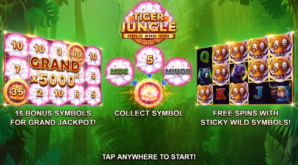 Tiger Jungle Hold and Win — Slots by 3 Oaks Gaming