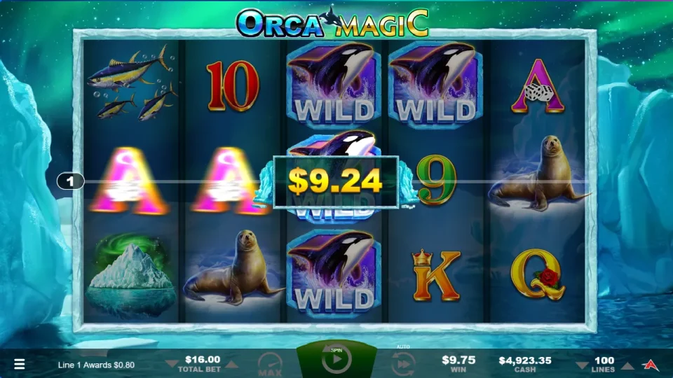 Orca Magic — screenshot 8