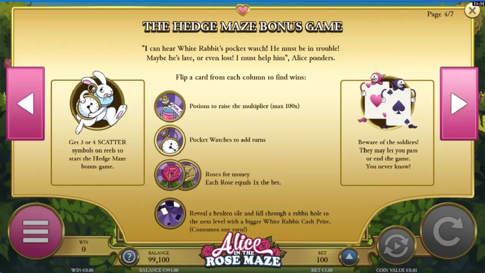 Alice in the Rose Maze — screenshot 4
