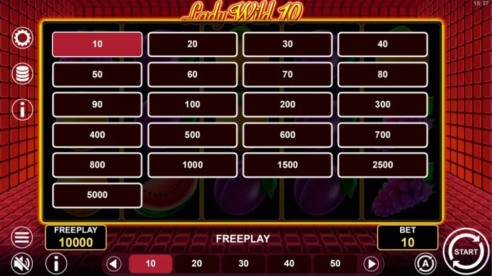 Lady Wild 10 — screenshot 1