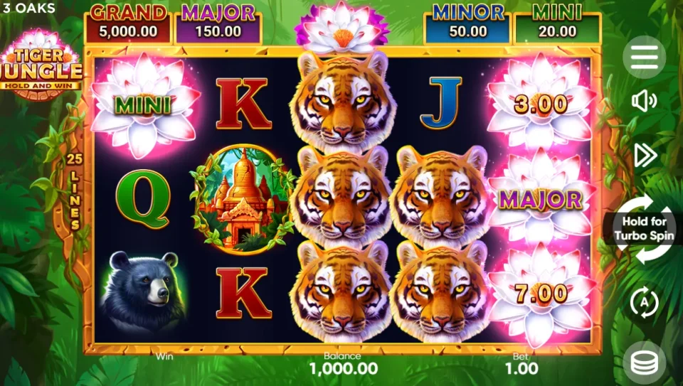 Tiger Jungle Hold and Win — screenshot 1