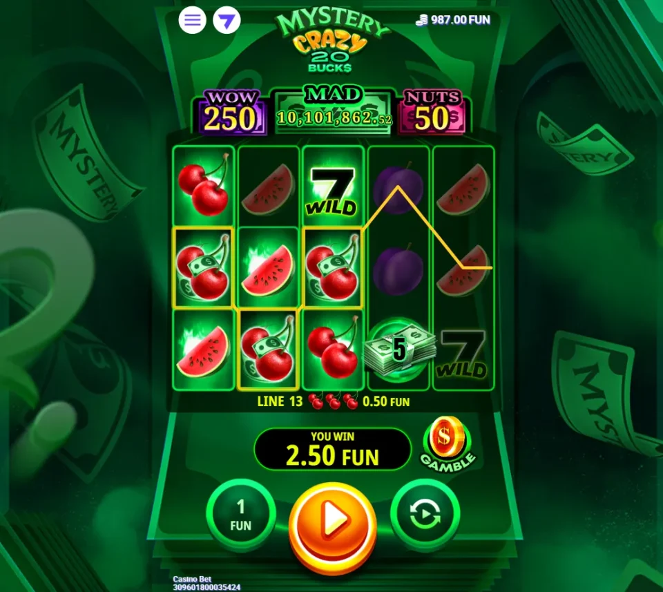 Crazy 20 Bucks — screenshot 3