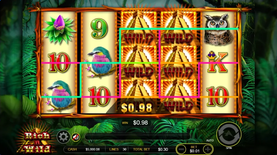 Rich n Wild — screenshot 3