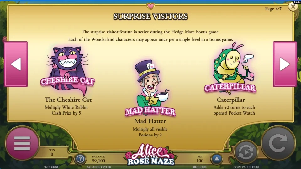 Alice in the Rose Maze — screenshot 2
