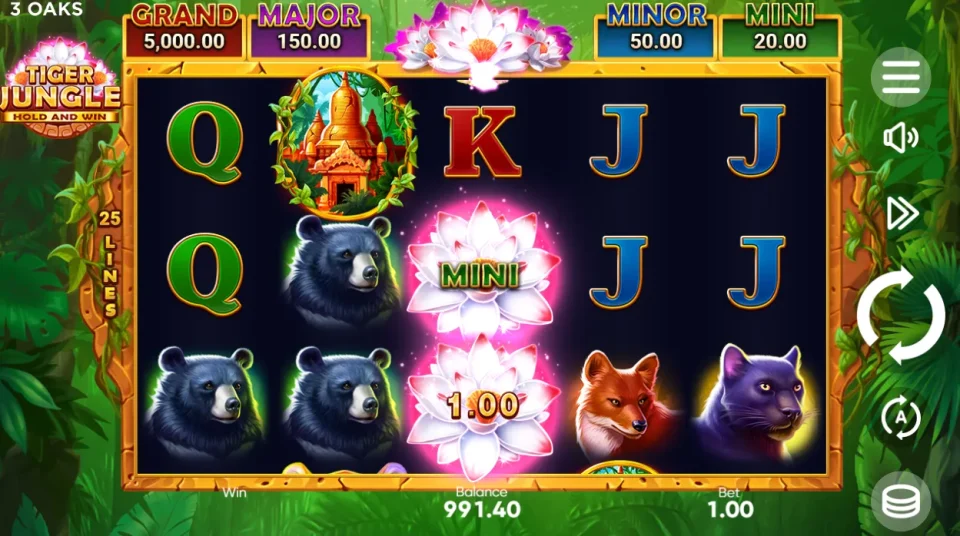 Tiger Jungle Hold and Win — screenshot 2