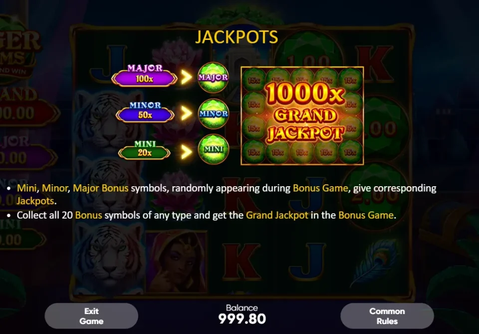Tiger Gems — screenshot 5