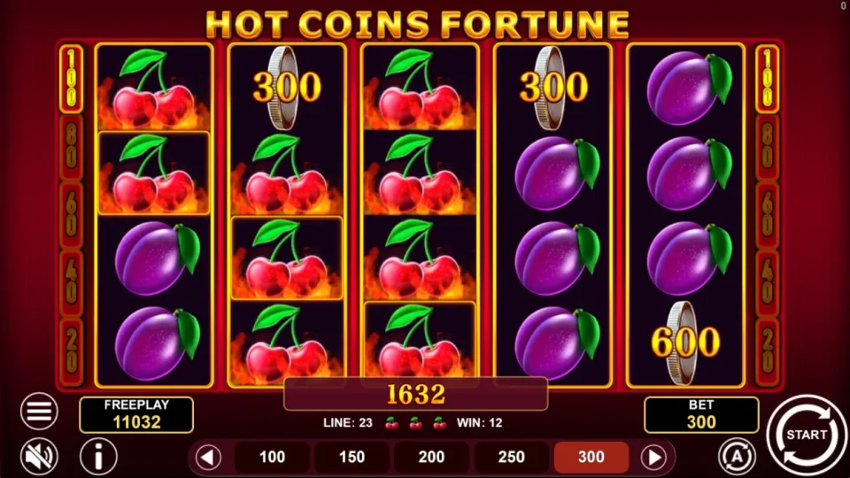 Hot Coins Fortune — screenshot 7