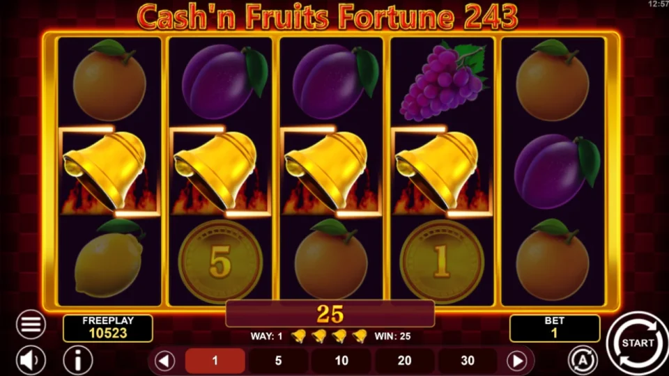 Cash’n Fruits Fortune 243 — screenshot 2