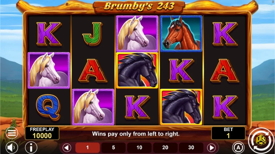Brumby’s 243 — screenshot 1