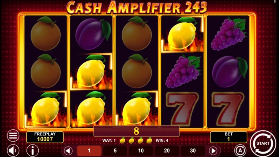 Cash Amplifier 243 — screenshot 1
