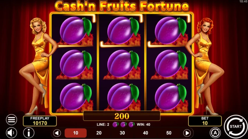 Cash’n Fruits Fortune — screenshot 1