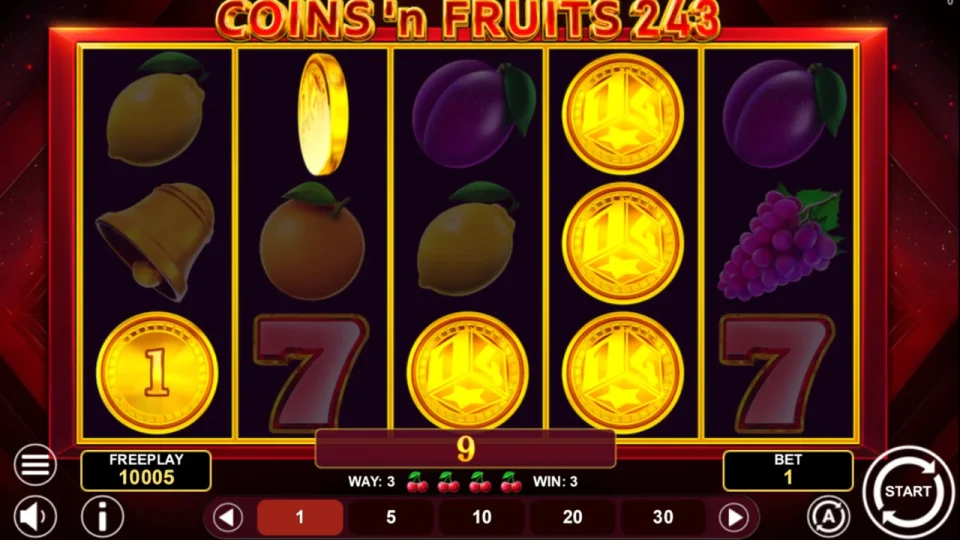 Coins and Fruits 243 — screenshot 1