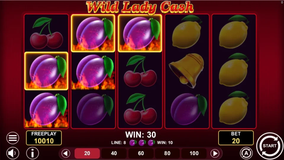 Wild Lady Cash — screenshot 3