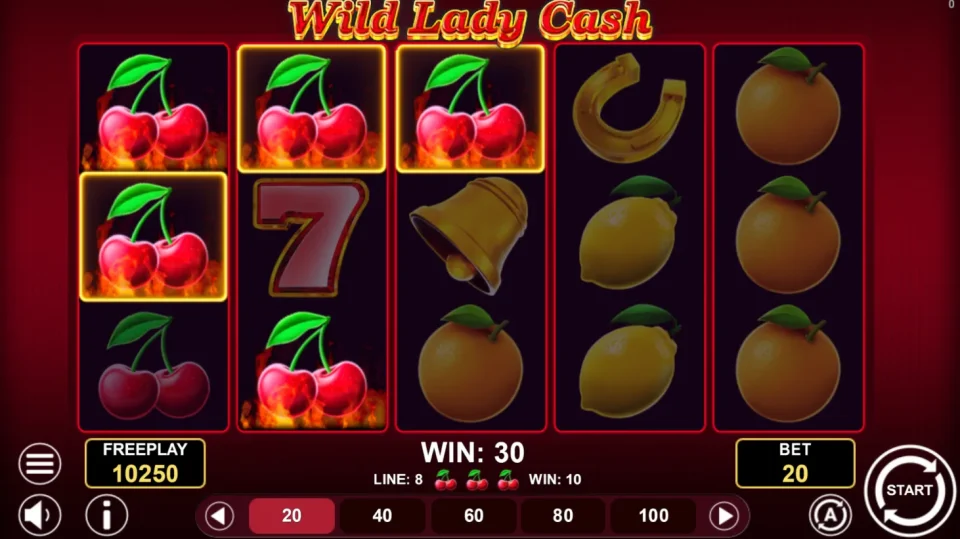 Wild Lady Cash — screenshot 2