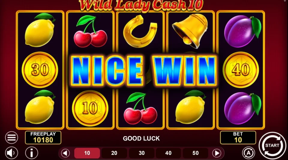 Wild Lady Cash 10 — screenshot 2