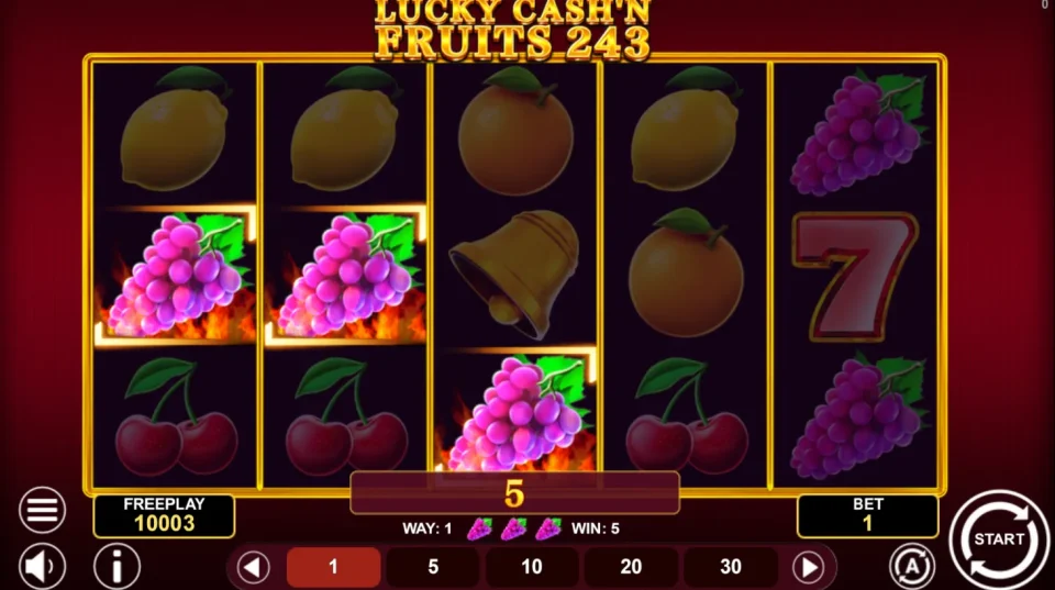 Lucky Cash’n Fruits 243 — screenshot 2