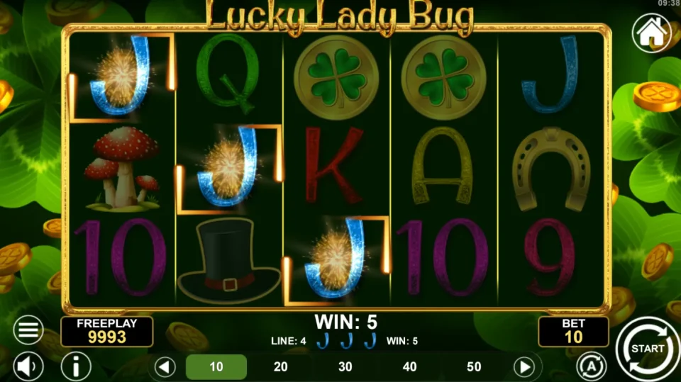 Lucky Lady Bug — screenshot 5