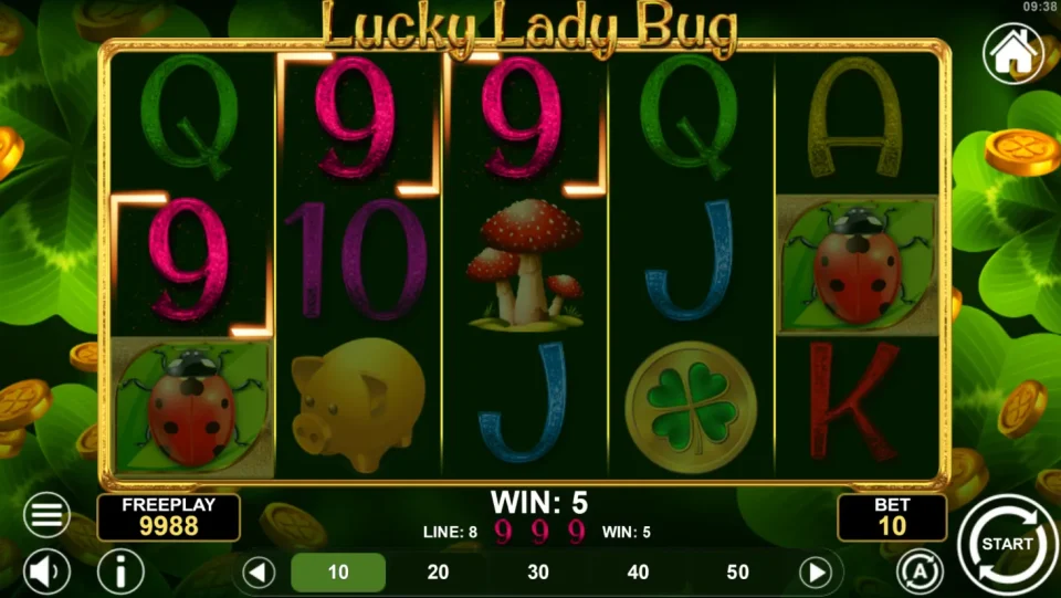 Lucky Lady Bug — screenshot 1