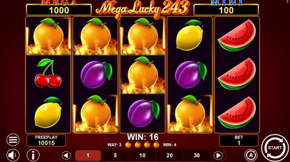 Mega Lucky 243 — screenshot 4