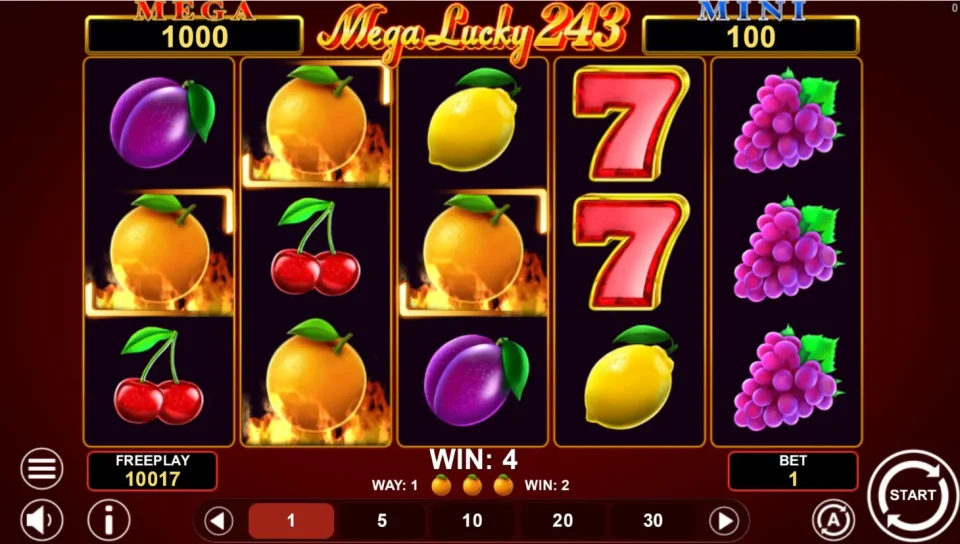 Mega Lucky 243 — screenshot 5