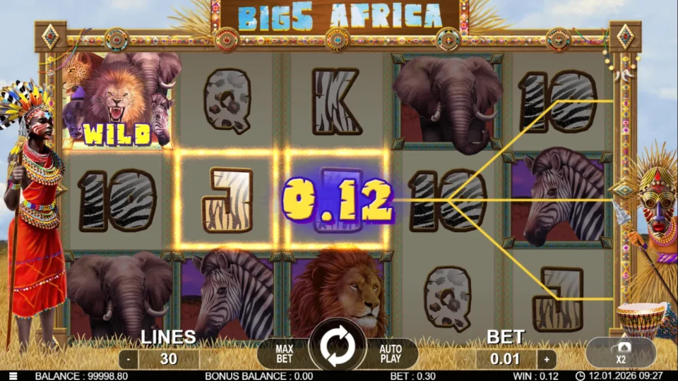 Big 5 Africa — screenshot 3
