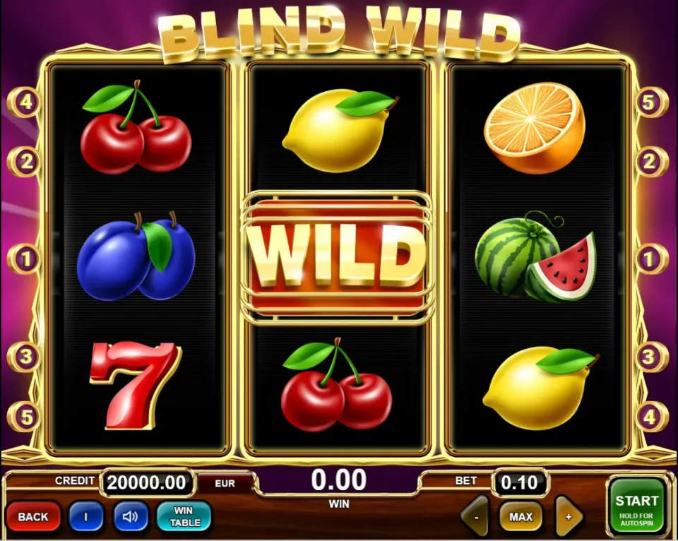 Blind Wild — screenshot 1