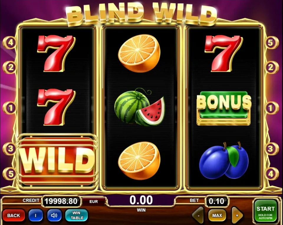 Blind Wild — screenshot 3
