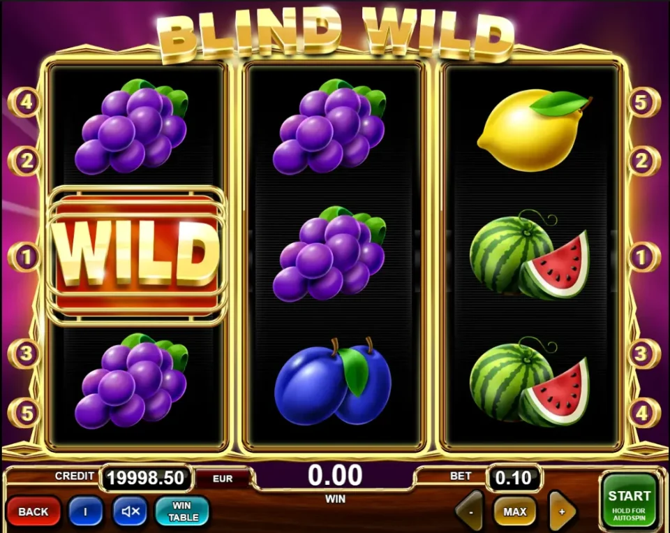 Blind Wild — screenshot 4