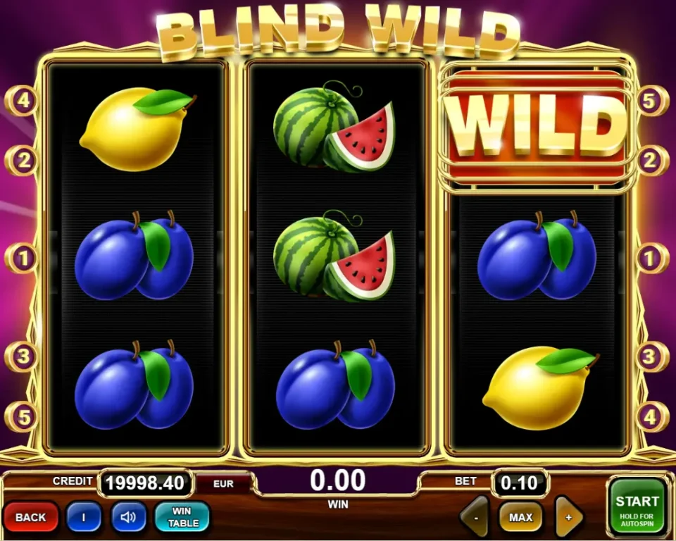 Blind Wild — screenshot 5