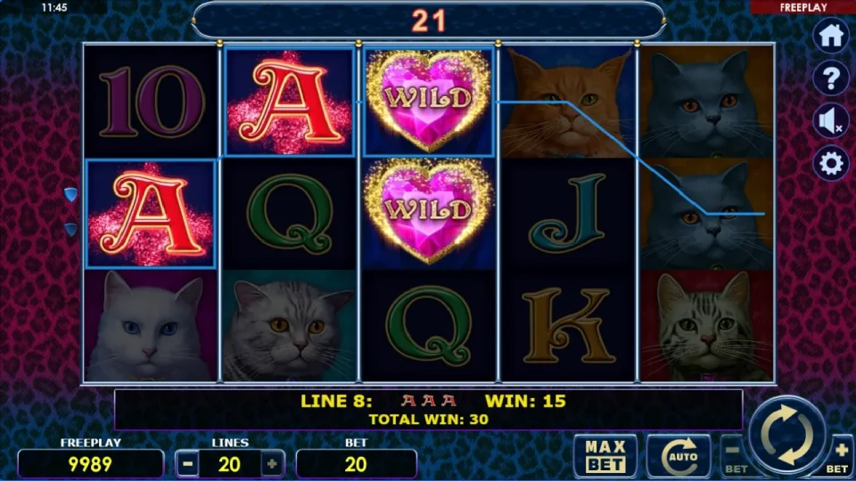 Diamond Cats — screenshot 1