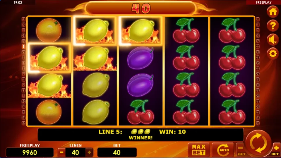Hot Fruits 40 — screenshot 2