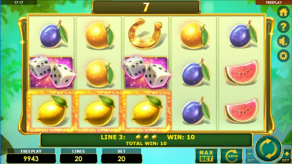 Lady Fruits 20 — screenshot 1