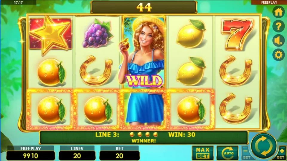 Lady Fruits 20 — screenshot 2