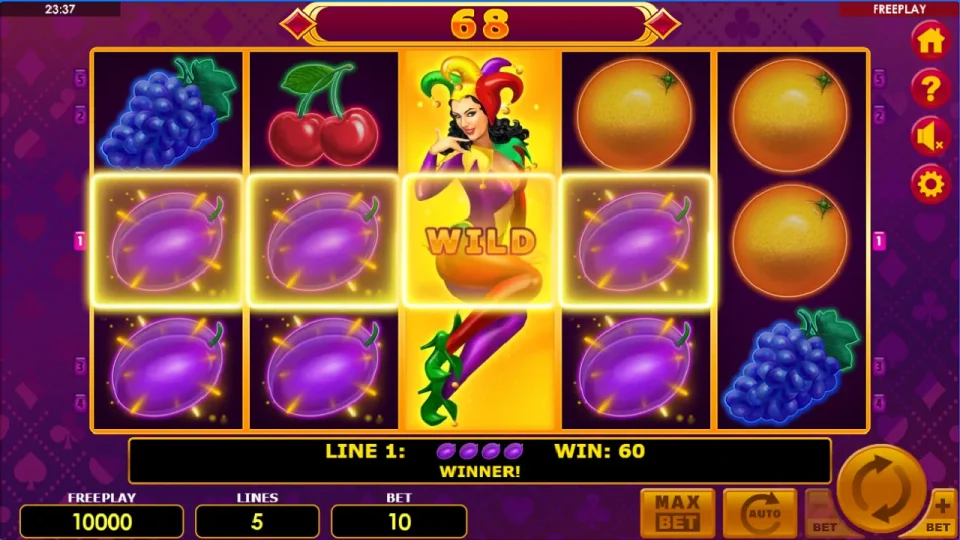 Lucky Joker 5 — screenshot 3