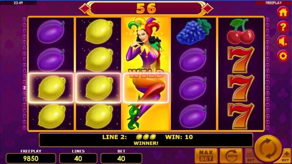 Lucky Joker 40 — screenshot 3