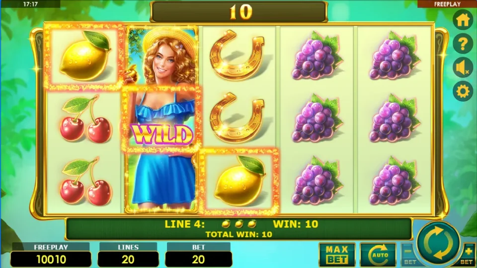 Lady Fruits 20 — screenshot 3