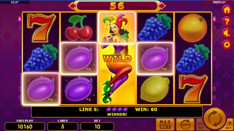 Lucky Joker 5 — screenshot 2