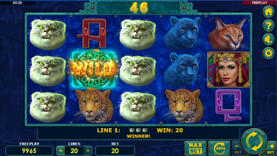 Super Cats — screenshot 2