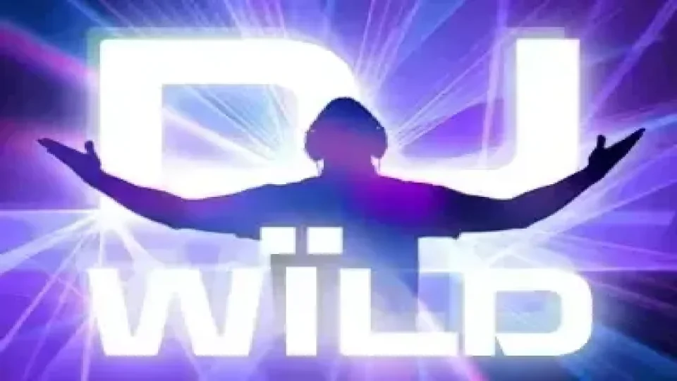 DJ WILD — Slots by ELK studios