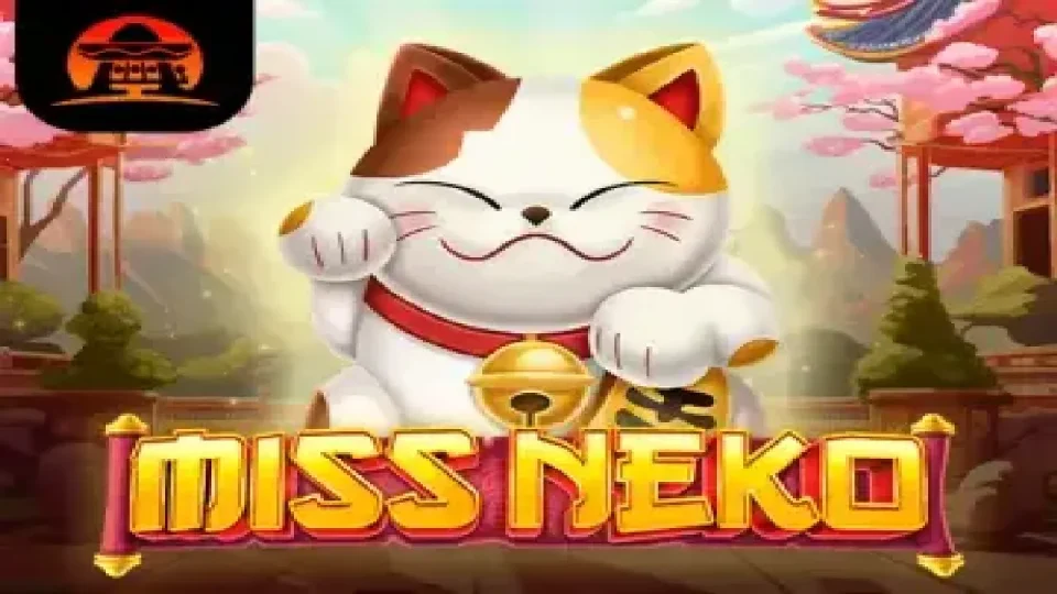 Miss Neko — Slots by Amigo Gaming