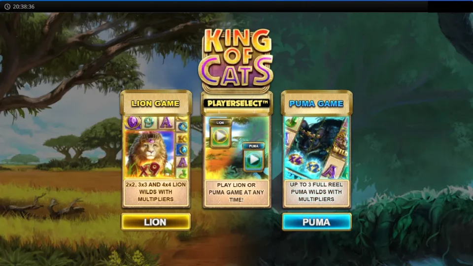King of Cats — screenshot 1