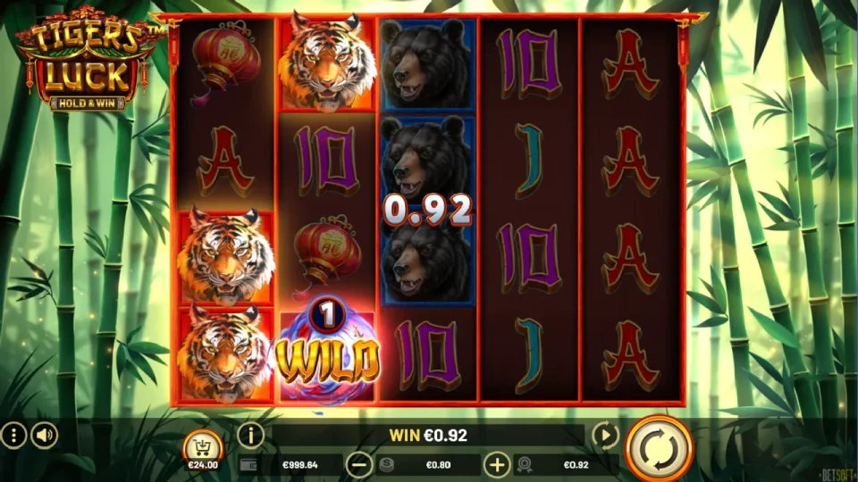 Tiger’s Luck — screenshot 3