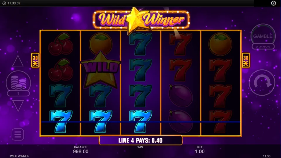 Wild Winner — screenshot 3