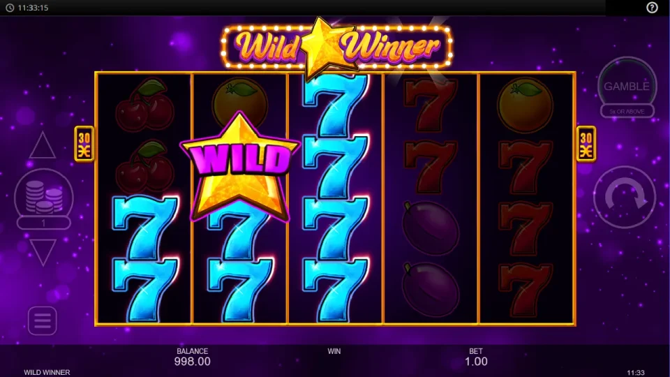 Wild Winner — screenshot 4